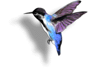 sticker_11953067_25377768