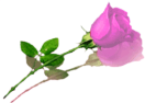 sticker_12303920_28534589