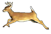 sticker_16677192_21973870