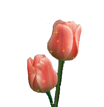 sticker_14490471_20686378