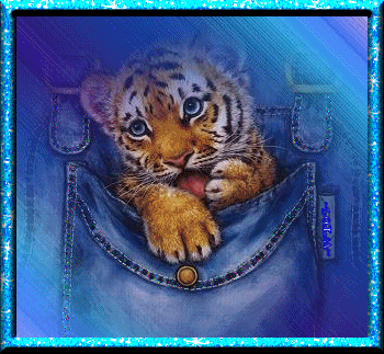 sticker_11549544_34871557