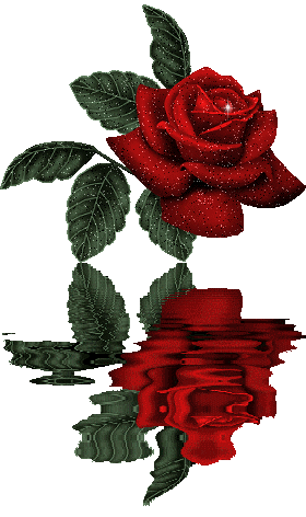 sticker_744173_1313823