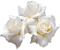 sticker_23012953_38388655