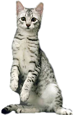 sticker_16735243_39424958