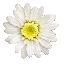 sticker_1596011_1846204