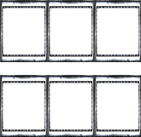 sticker_14554312_20590821