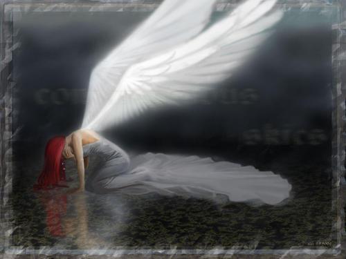 sticker_2609011_34887880