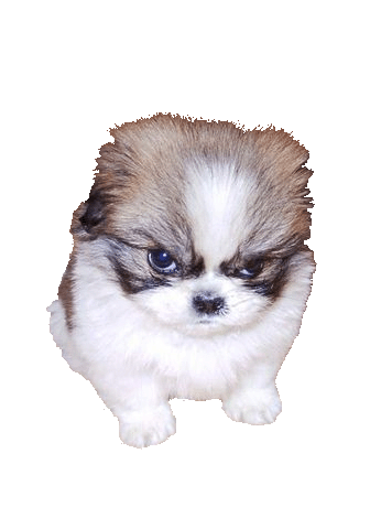 sticker_14158913_20647434