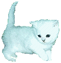 sticker_16522441_21500674