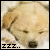 sticker_17076797_30260794