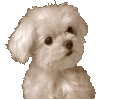 sticker_18678670_29202134