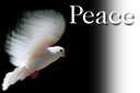 sticker_20960216_33115984