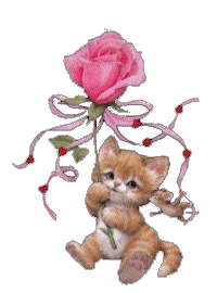 sticker_9941557_15615211