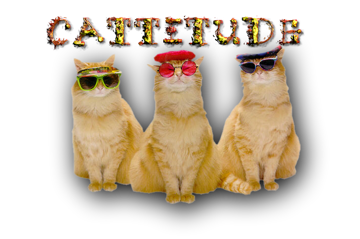sticker_791853_31339018
