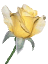 sticker_12610675_33359202