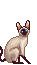 sticker_11641448_27521898