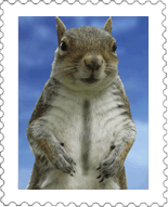 sticker_13699168_31802891