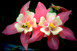 sticker_18464784_43109166