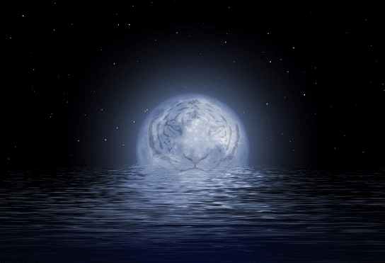 sticker_12961452_39537372