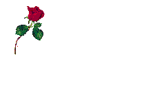 sticker_22795194_37683241