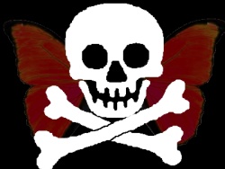 sticker_16350764_38022000
