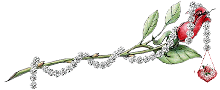 sticker_6680128_9784462