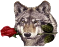 sticker_18078123_28128035