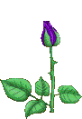 sticker_14857040_39331850