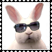 sticker_11914440_38553710