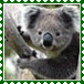 sticker_19603702_34951501