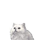 sticker_12299202_43433416