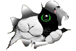 sticker_29059225_40108583