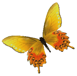 sticker_17795303_27680156