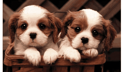 sticker_7524652_11338510