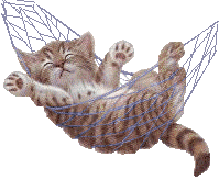 sticker_7149562_12639043