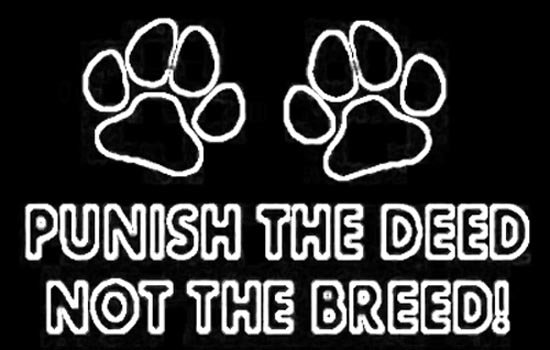 sticker_21155843_38464347