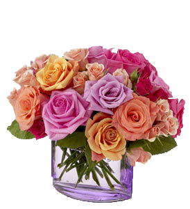 sticker_3282443_35536058