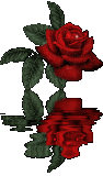 sticker_22407871_30470411