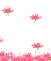 sticker_17825135_24362007