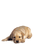 sticker_10067730_34386048