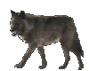 sticker_20736996_33219611