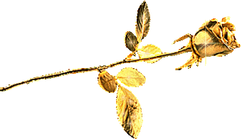 sticker_10067730_30557428