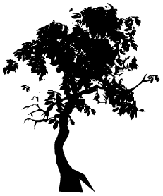 sticker_21198358_40720548