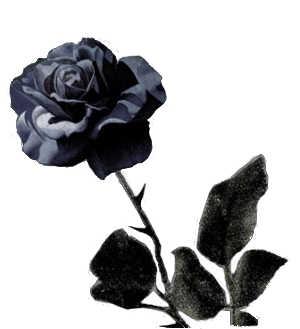 sticker_5532123_28833126