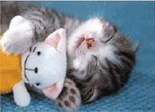 sticker_2346752_5136877