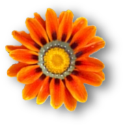 sticker_18477281_40781408