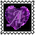 sticker_16744502_29068755