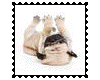 sticker_17531215_34480740