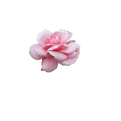 sticker_27159991_37146518