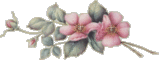 sticker_4278253_10489982